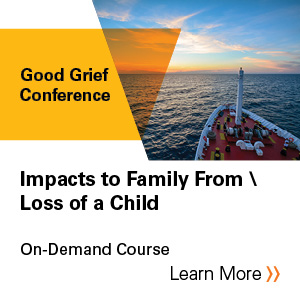 Impacts to family from loss of a child Banner